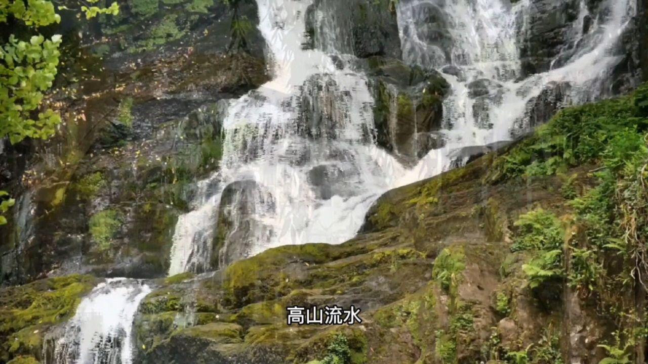 小小忍者疾风传